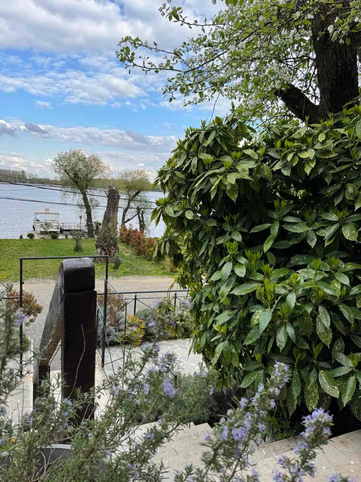 Villa Bora Kuce Na Reci à Belgrade Extérieur photo